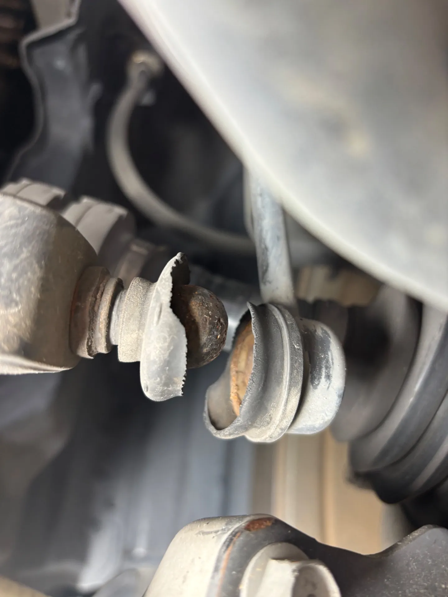 エルグランドメンテナンス🧑‍🔧