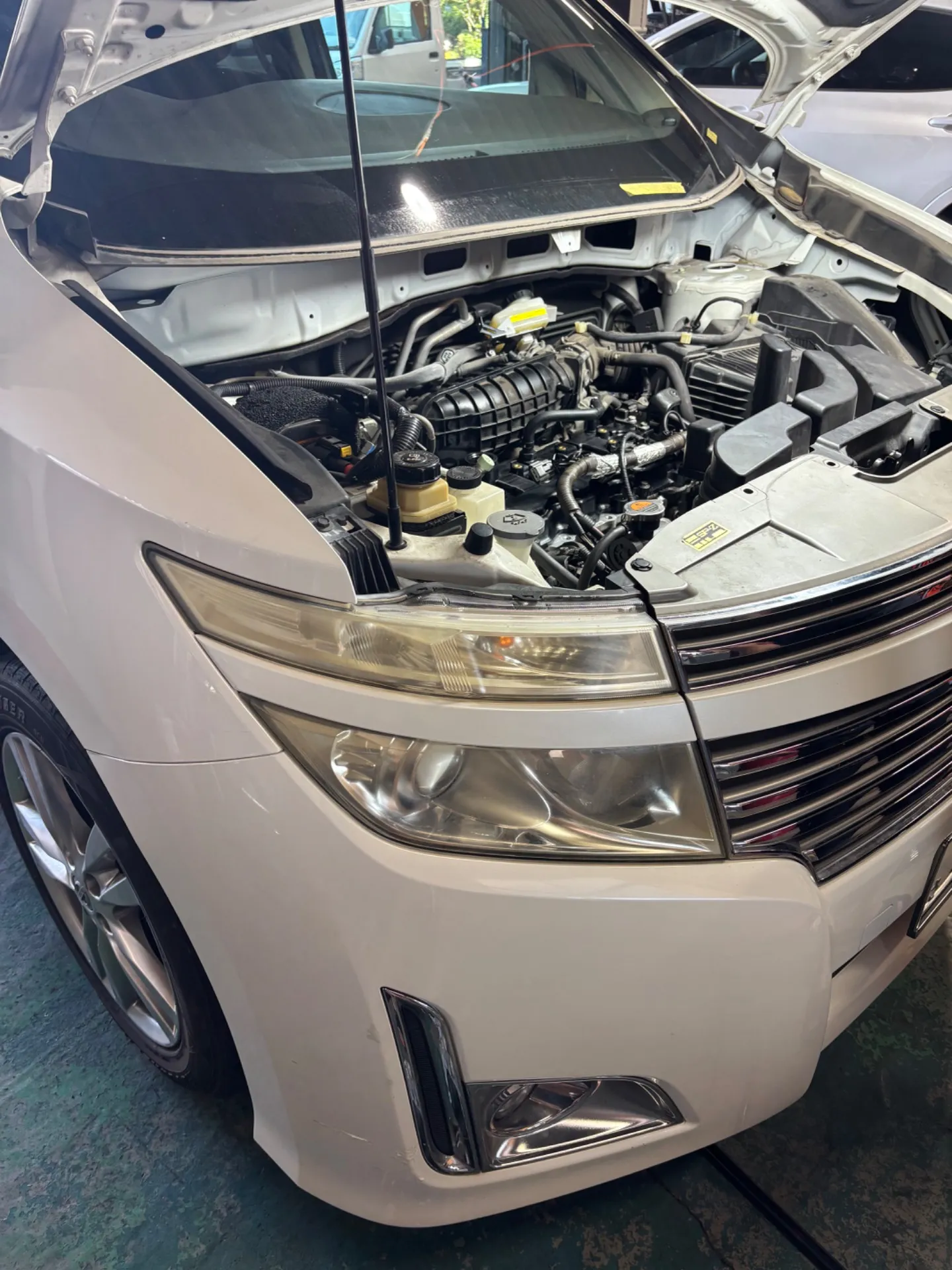 エルグランドメンテナンス🧑‍🔧