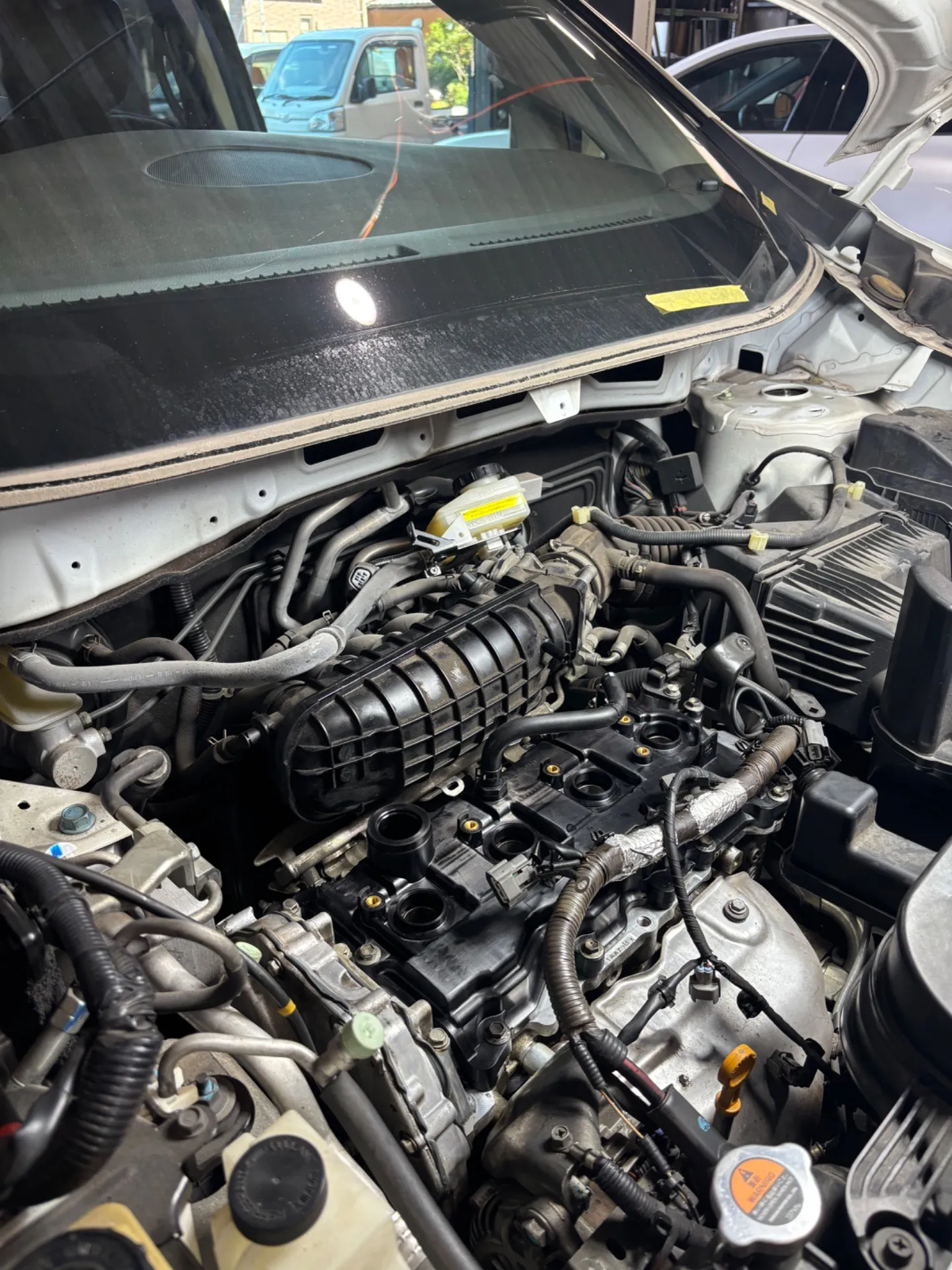 エルグランドメンテナンス🧑‍🔧